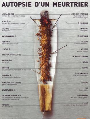 La composition de la fumée de tabac, cigarette Des additifs : environ 10% du poids d une cigarette la glycyrrhisine, est un des composants de la réglisse, qui est bronchodilatatrice, le goût de la