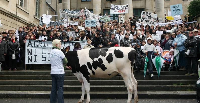 Sommes-nous impuissants face à la crise laitière? MARCHÉ Peu de prises!
