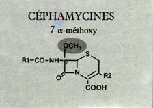 Céphamycines Pas d hydrolyse par les BLSE (encombrement stérique du groupement