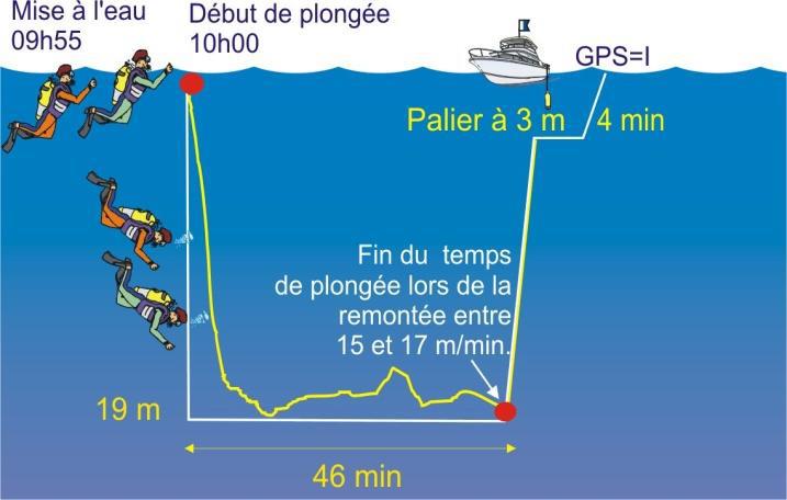 C est un arrêt de 3 minutes à 3 mètres qui n est pas obligatoire mais qui peut être effectué pour favoriser l élimination de l azote lorsque les conditions (de mer) le permettent.