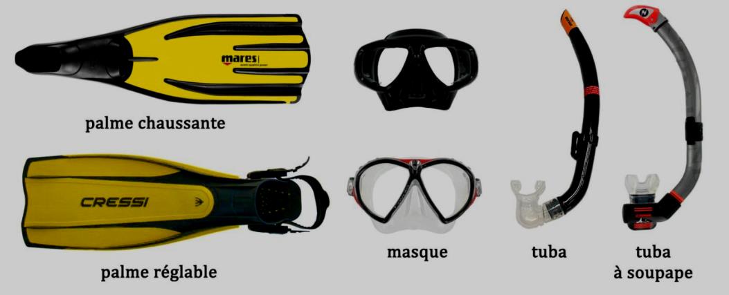 Préparation du matériel : Avant l immersion, chaque plongeur s équipe, prépare son matériel et vérifie son bon fonctionnement.