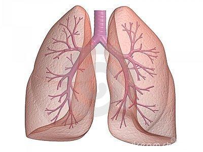 Nicot 12 [ Hémoglobine ] Transport de l oxygène par le sang