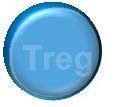 Treg Th17 Th17 Th17 DÉSÉQUILIBRE DE LA BALANCE TH17/TREG Diminution des Treg (CD4 CD25 high Foxp3 ) Augmentation des Th17