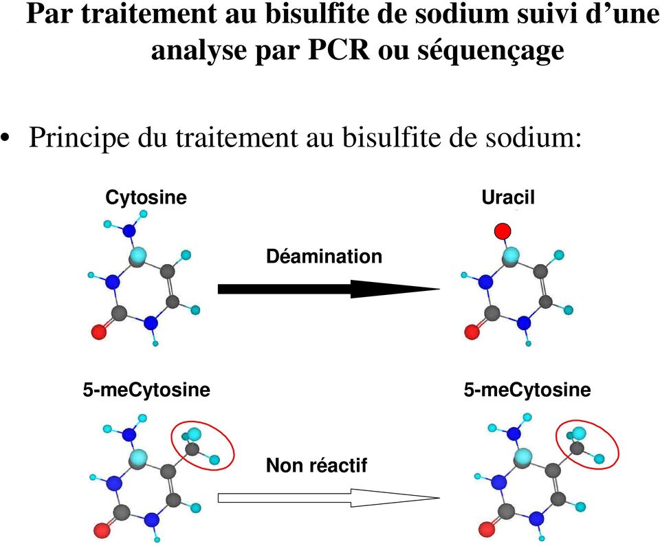 traitement au bisulfite de sodium: Cytosine