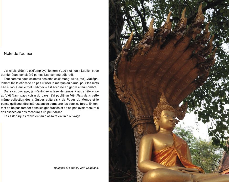 Dans cet ouvrage, je m autorise à faire de temps à autre référence au Việt Nam, pays voisin du Laos ; j ai publié un Việt Nam dans cette même collection des «Guides culturels» de Pages du Monde et je