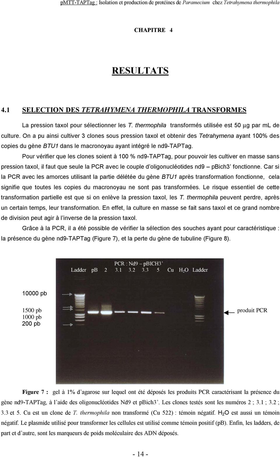 Pour vérifier que les clones soient à 100 % nd9-taptag, pour pouvoir les cultiver en masse sans pression taxol, il faut que seule la PCR avec le couple d oligonucléotides nd9 pbich3 fonctionne.