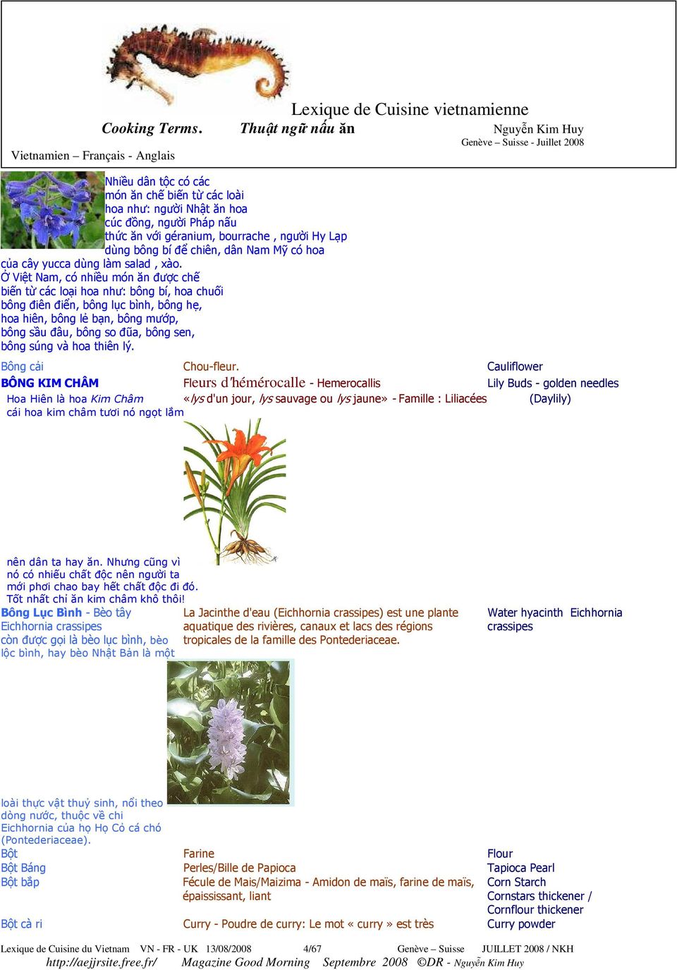 Lot Neem beej séché Neem Seeds Azadirachta indica Lilas des Indes Graines Organiques à base de plantes