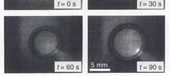 3. Dynamiques de démouillage Démouillage visqueux sur surfaces spéciales Surfaces liquides Surfaces glissantes dissipation à visqueuse à l interface liquide/solide PDMS sur huile fluorée R t 2/3