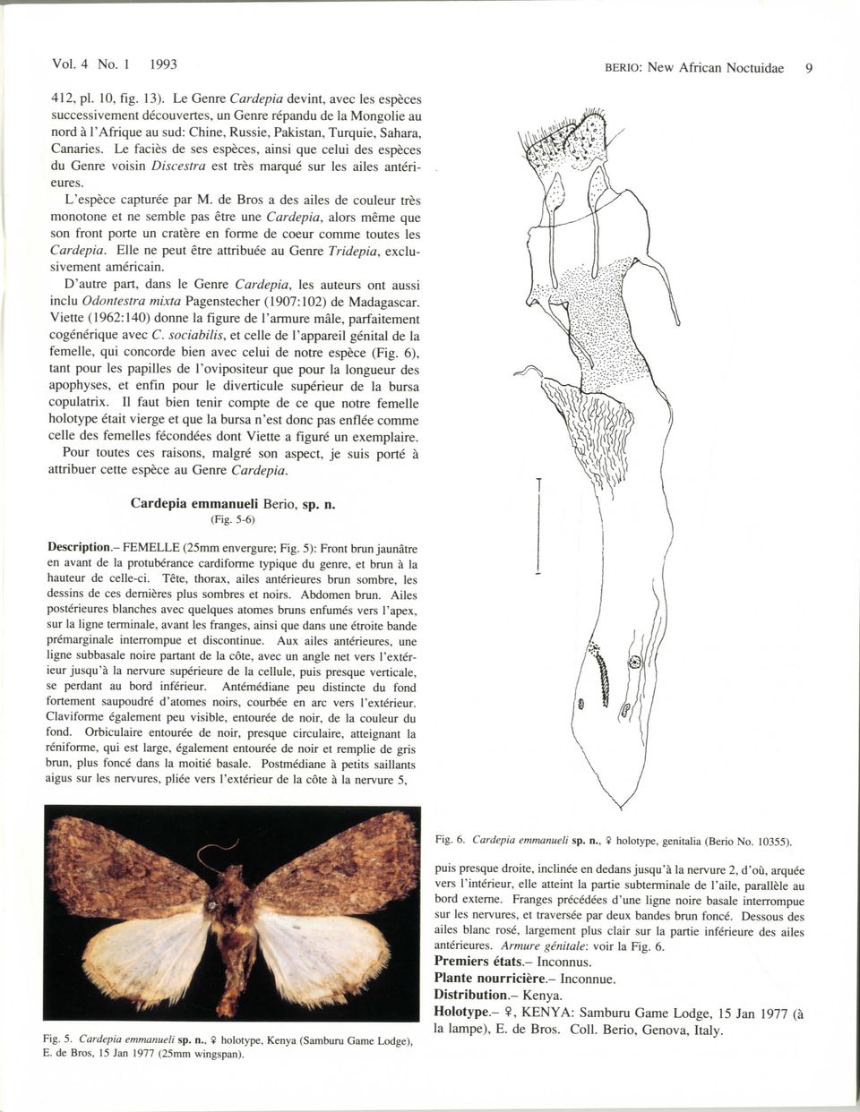 Le fades de ses especes, ainsi que celui des especes du Genre voisin Discestra est tres marque sur les ailes anterieures. L'espece capturee par M.