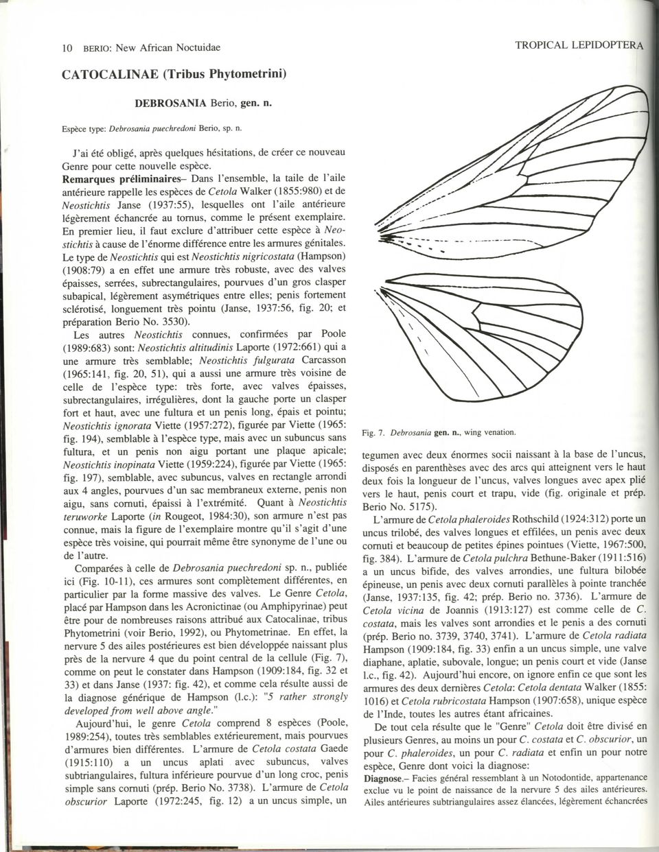 Remarques preliminaires- Dans 1'ensemble, la taile de 1'aile anterieure rappelle les especes de Cetola Walker (1855:980) et de Neostichtis Janse (1937:55), lesquelles ont 1'aile anterieure legerement