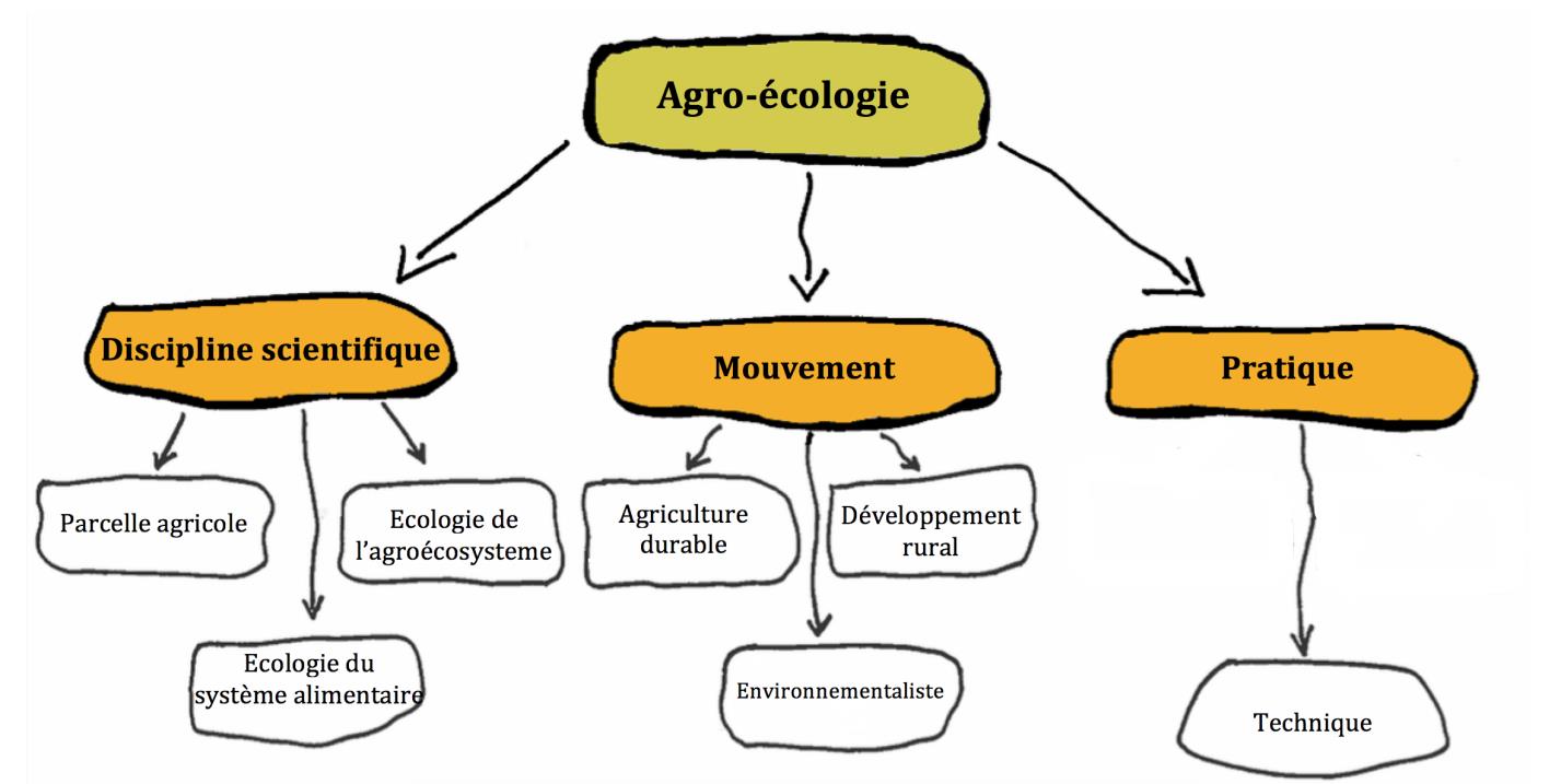 Figure 19 : Alexander Wezel (2009), les trois dimensions en agro-écologie Il n existe pas une seule manière de définir et de travailler sur l agro-écologie.