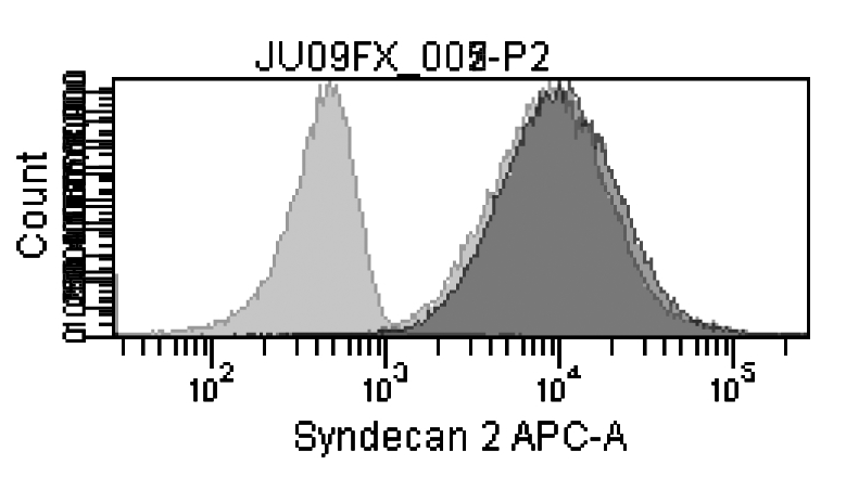 ΔΔCT La doxorubicine n induit pas le syndécan-2 dans les cellules résistantes