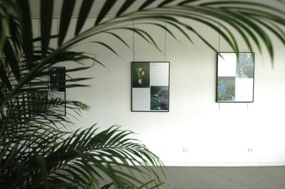 A cette occasion un marché de producteurs Bio a été installé dans les douves Atelier fleurs recycleuses du Jardin Partagé Concours de photos sur le thème du jardin En