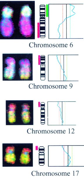 Figure 14 : Techniques de marquage des chromosomes par hybridation