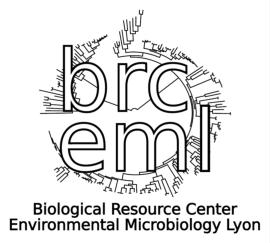Centre de Ressources Biologiques Environnement Microbiologie Lyon Bât. Forel, 4ème étage - 6, rue Raphael Dubois-69622 Villeurbanne cedex Tél: 04 72 43 27 84 mail : crbeml@univ-lyon1.