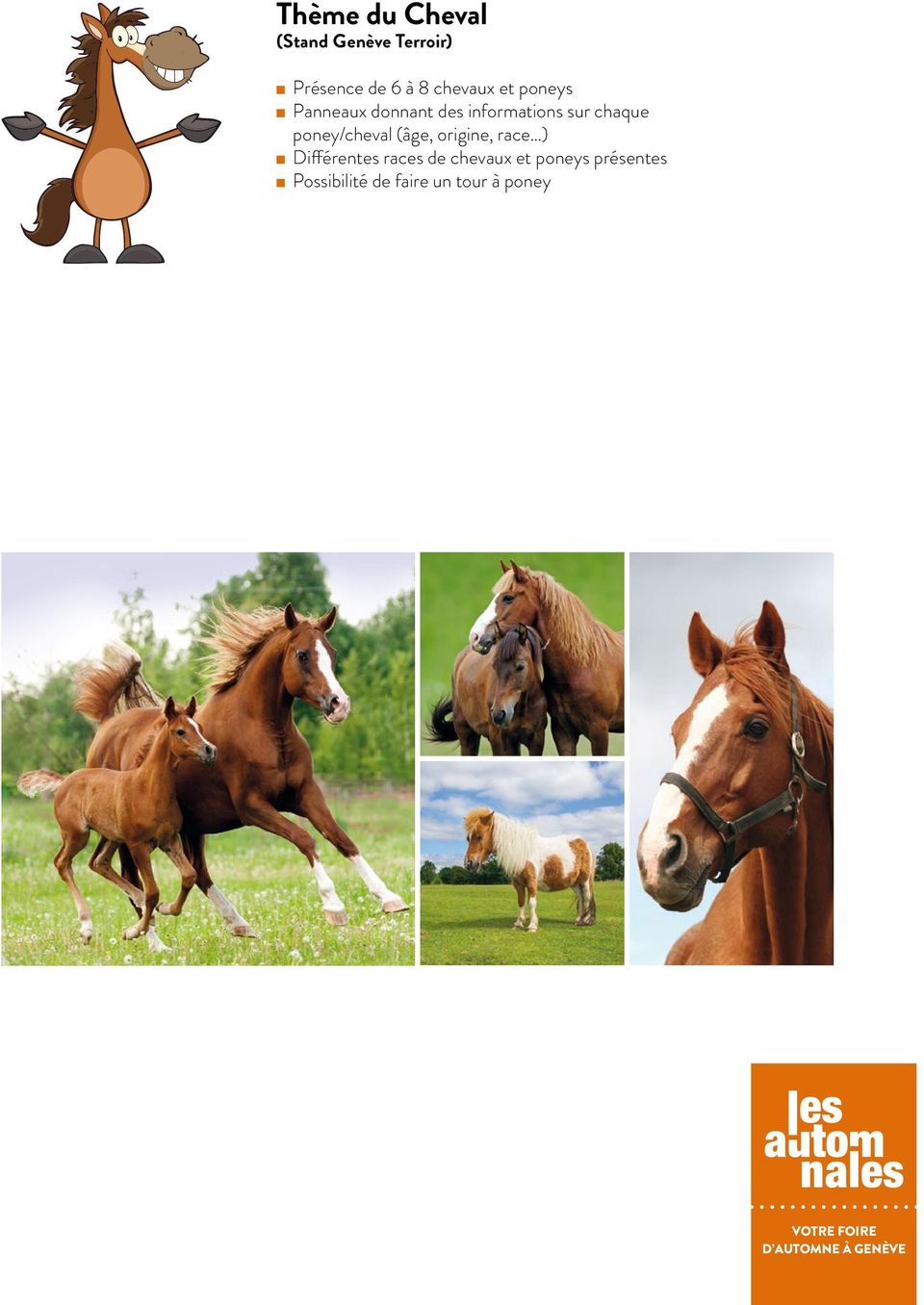 chaque poney/cheval (âge, origine, race ) Différentes races