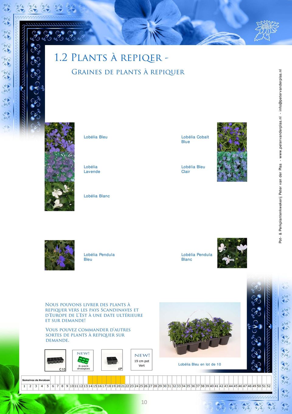 nl Lobélia Pendula Bleu Lobélia Pendula Blanc Nous pouvons livrer des plants à repiquer vers les pays Scandinaves et d Europe
