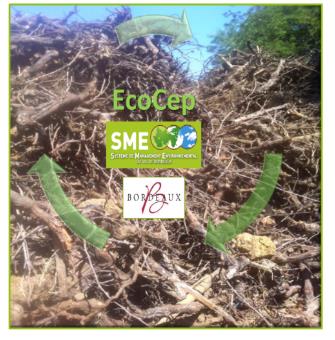 SME Bordeaux «Développement Durable Innovation» ECOCEP PHYT INNOV Valorisation sous produits de la vigne (notamment des