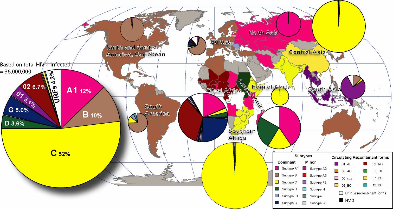 Distribution mondiale des soustypes
