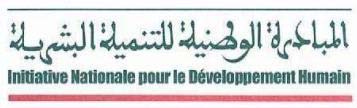 Cadre Logique Formation des cadres provinciaux en charge de l évaluation de projets INDH Gestion du Cycle de Projet Le Cadre Logique Marrakech, du 2 au 7 mai 2006 SF Développement Formation et