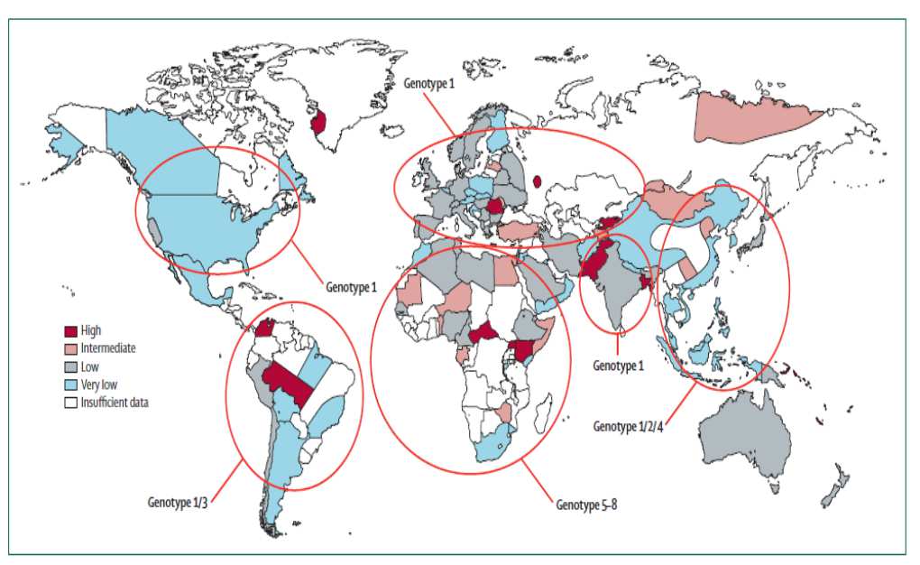 Répartition mondiale de l infection par le VHD Hughes S. et al.