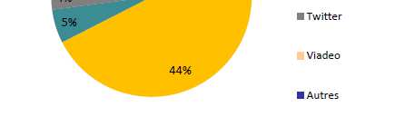 Une présence peu marquée sur les réseaux sociaux Le recours aux réseaux sociaux est faible : o o 8% (enquête TPE Fiducial-Orange) 18% des artisans du