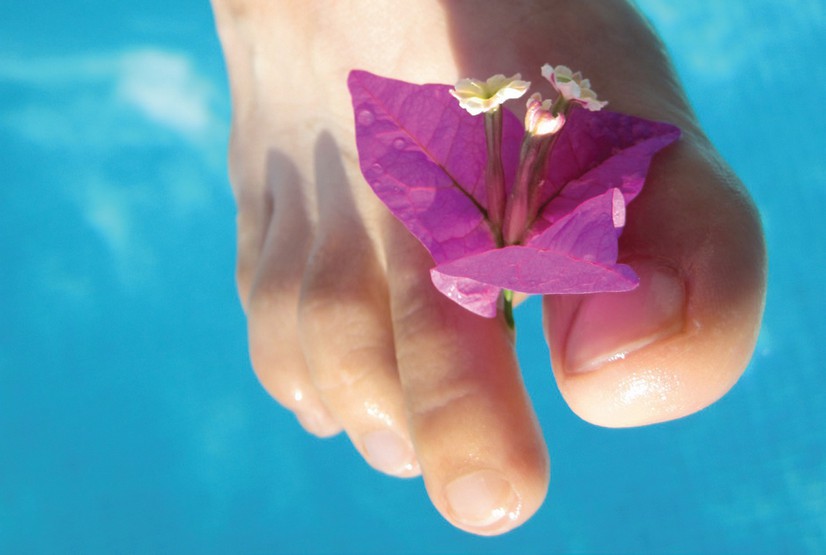 Doigts de pied fleuris http://pixabay.