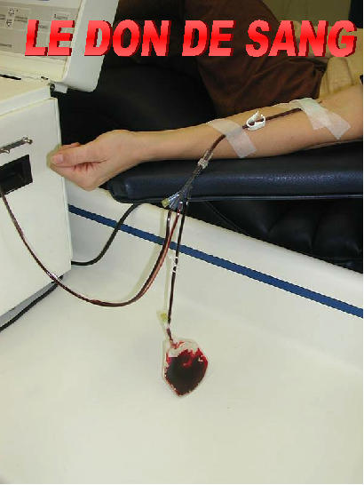 Pourquoi donner son sang? Qui peut donner son sang?