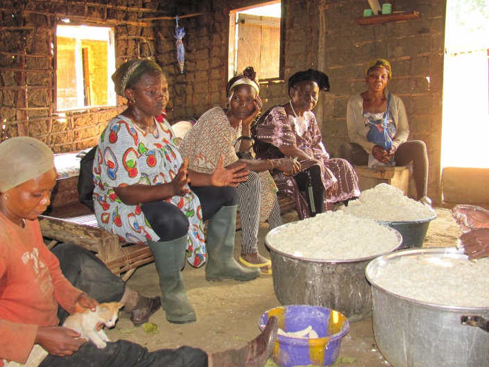 B- ADAPT : Modèle d émergence des femmes rurales Produc8on agricole accrue pour 2000 producteurs et productrices Créa8on d