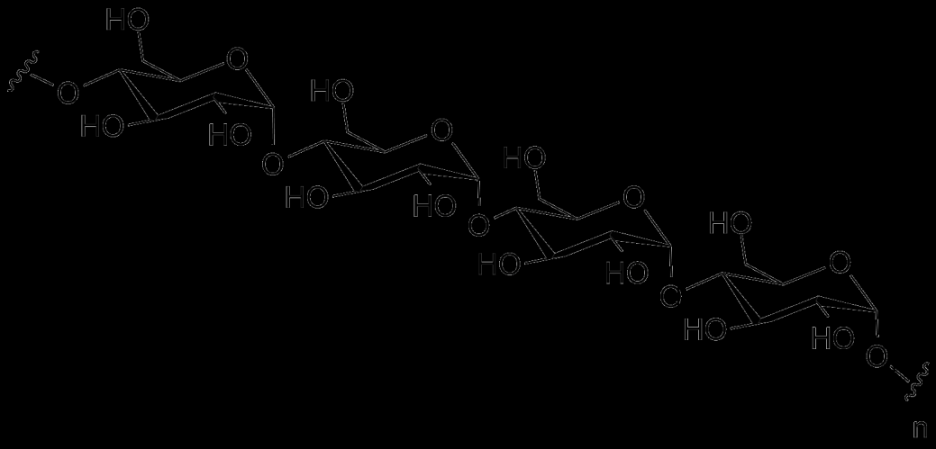 Diminution de l apport en dérivés hydrocarbonés Métabolisme de l amidon L
