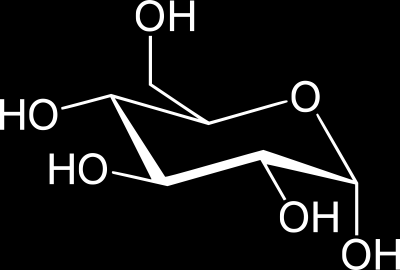 Diminution de l apport en dérivés hydrocarbonés Métabolisme de l amidon l α-amylose 1 er étape : hydrolyse en maltose