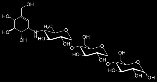 Diminution de l apport en dérivés hydrocarbonés L acarbose (GLUCR ) Maltose Pseudotétrasaccharide Production par fermentation Cyclitol Viosamine Faible résorption (biodisponibilité < 2%) Acarviosine