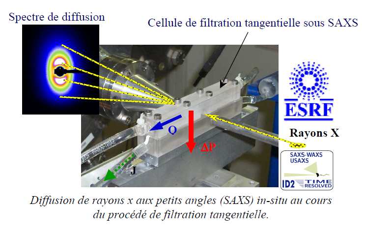 mises en œuvre en collaboration avec l'european Synchrotron Radiation Facility, Elles permettront d'accéder aux évolutions temporelles et spatiales (50 micromètres) des structures formées de quelques