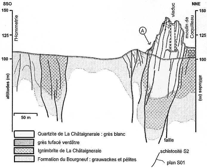 La Barre Gréseuse du Viaduc de Coquilleau, La Châtaigneraie, le Breuil Barret Le Grès armoricain est un grès blanc à ciment quartzitique appelé Quartzite de la Châtaigneraie, il se présente en bancs