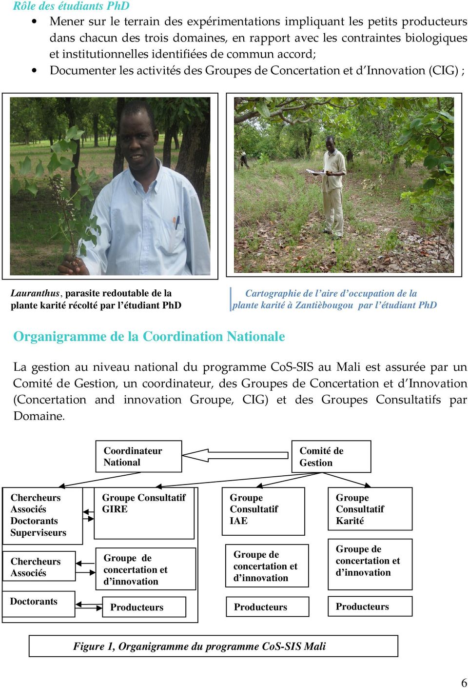 de l aire d occupation de la plante karité à Zantièbougou par l étudiant PhD Organigramme de la Coordination Nationale La gestion au niveau national du programme CoS-SIS au Mali est assurée par un