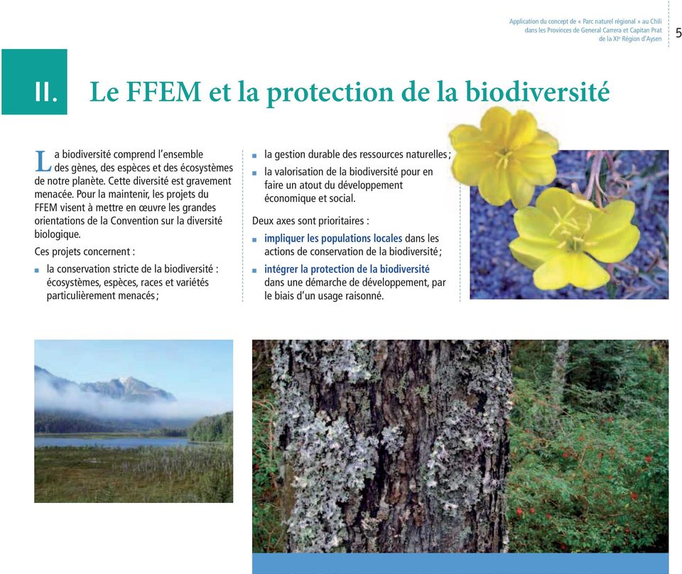 Pour la maintenir, les projets du FFEM visent à mettre en œuvre les grandes orientations de la Convention sur la diversité biologique.