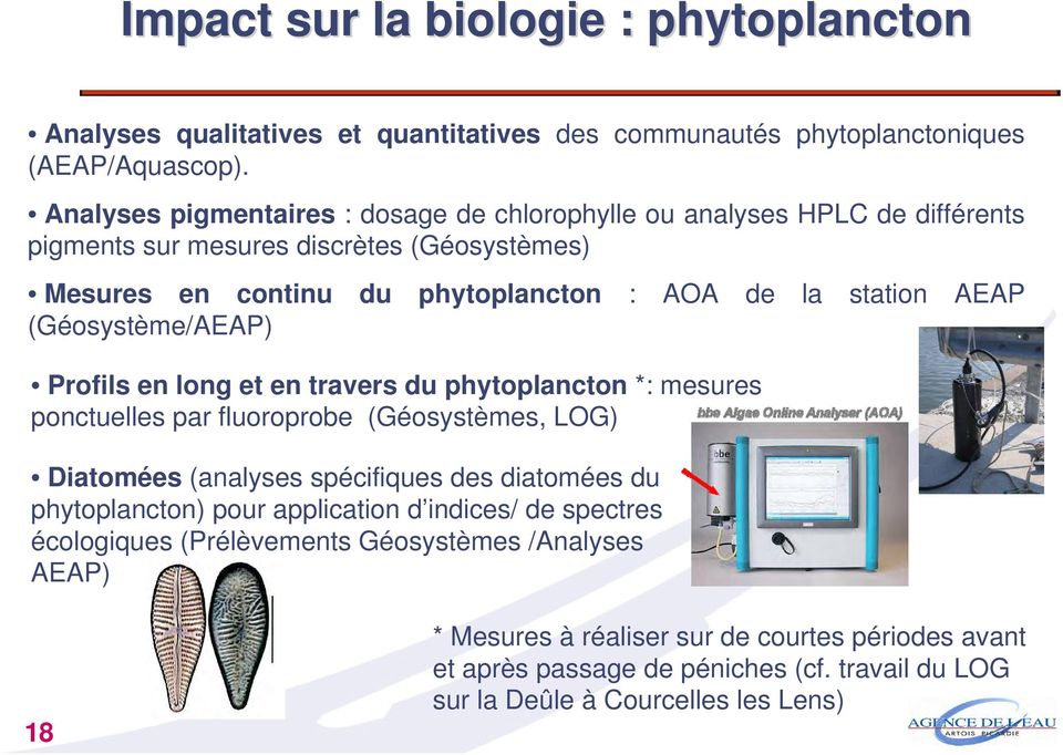 (Géosystème/AEAP) Profils en long et en travers du phytoplancton *: mesures ponctuelles par fluoroprobe (Géosystèmes, LOG) Diatomées (analyses spécifiques des diatomées du