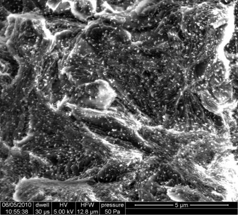 Etude systématique de la dispersion par ultrasonification des nanoparticules Al 2 O 3 ZnO Lorsque les nanoparticules sont stabilisées, la taille la plus petite atteignable ou la taille des agrégats