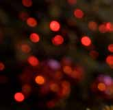Sapin Tradition Sapin Prestige Sapin Illusion Les Extras du sapin Cône Tradition Cône Prestige Noël en Forêt Noël en Blanc Noël Contemporain Noël de