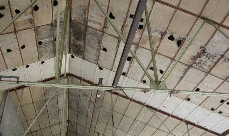 Plafonds Panneaux collés ou vissés Coffrages perdus (carton-a, fibres-ciment, composite) Plafonds et faux plafonds 37 Faux plafond en menuiserite qui était derrière un autre faux plafond.