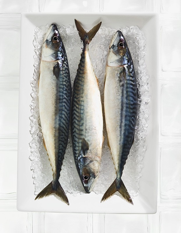 Le commerce du poisson et des fruits de mer en Corée du Sud SOMMAIRE DANS CE NUMÉRO La Corée du Sud ne représente pas actuellement un grand marché pour les exportations canadiennes de poisson et de
