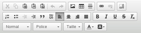 Le clic dans la zone d édition vous bascule automatiquement en mode d édition : Vous retrouvez dans la barre de menu, les options de mises en forme classiques des logiciels de traitement de texte de