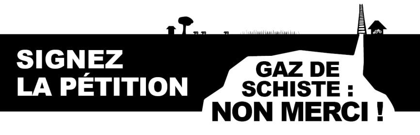 Gaz de schistes et acceptation sociétale GAZ EN PLACE (Géologie) ACCEPTATION SOCIETALE Ressources.