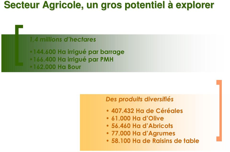 000 Ha Bour Des produits diversifiés 407.432 Ha de Céréales 61.