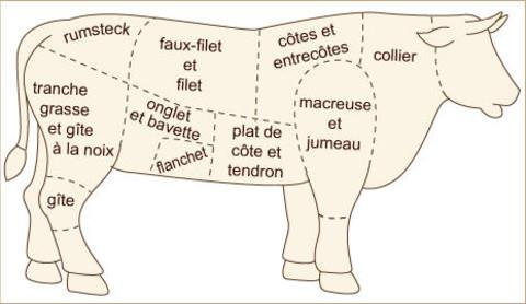 Allergènes de la viande de bœuf Allergènes majeurs : BSA (Bos d 6) 1,2 : IgG 2 69 kda sensible à la cuisson 160 kda Cuisson?