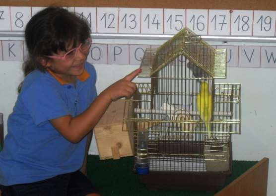 Les perruches de Leila Leila a apporté ses perruches en classe dans une cage. Ses oiseaux s appellent Doritos et Tac. Tac a des plumes jaunes et Doritos a des plumes blanches et noires.