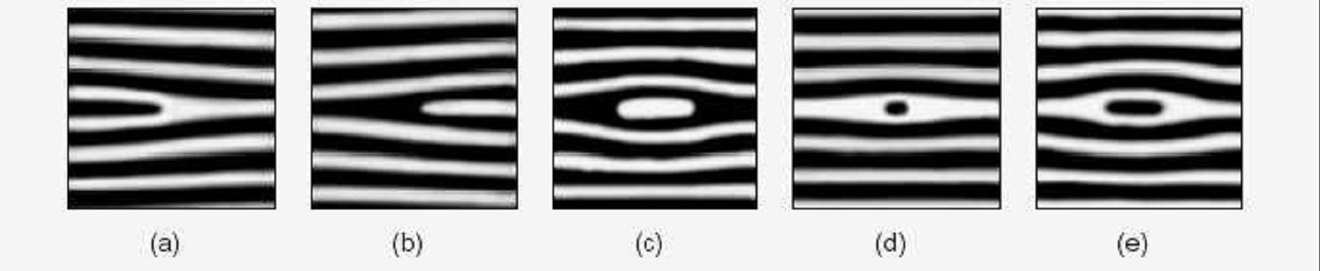 Des dessins beaucoup plus rares sont par exemple des doubles boucles imbriquées. Empreinte assez rare : deux spirales b.