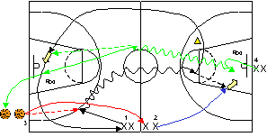 Exercice 32 : Perfectionnement des fondamentaux de la contre attaque Consignes : 4 colonnes de joueurs, dont une avec ballons, 1 plot.