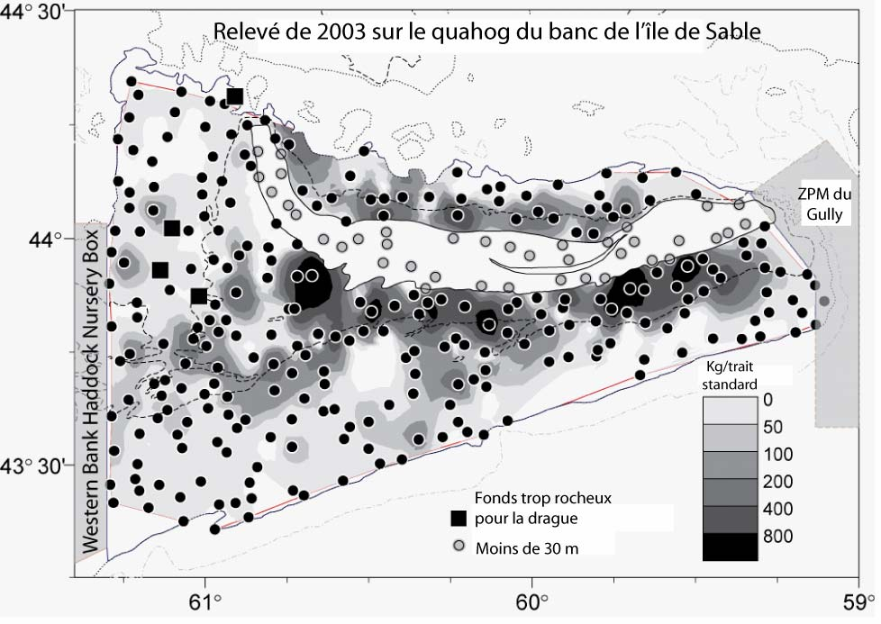 Figure 9. Cartes de répartition des prises par trait standard dans le relevé de 2003 sur le quahog nordique du banc de l île de Sable. Baie St.