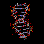L ADN est une molécule qui contient toute notre information